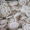 IQF Frozen Vegetables Slice Lotus Root